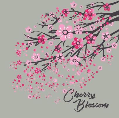 花卉圖13 Sakura Japan cherry branch with blooming flowers 45389814