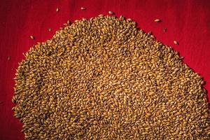 Beer Barley Malted Caramel Grains Macro Texture photo