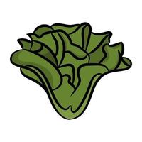 Trendy Kale Concepts vector