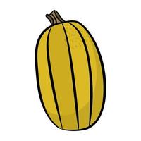 Trendy Cantaloupe Concepts vector