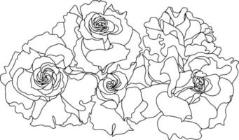 ramo rosas brotes abiertos negro blanco aislado vector mano ilustración