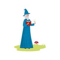 wizard of fairytale avatar character vector