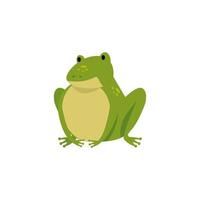 cute toad animal isolated icon vector