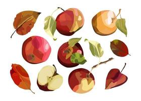 Vector set of apples whole and cut. For autumn design, restaurant menu, desserts, invitation cards