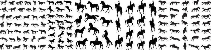 colección de silueta de caballo, aislado, vector, silueta de caballo, conjunto de iconos de caballo, conjunto de silueta de caballos ilustración vectorial, colección de silueta de caballo vector
