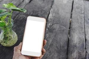 Mobile phone blank screen white mockup with glass bottle green plant on top view and copy space. For using your concept photo