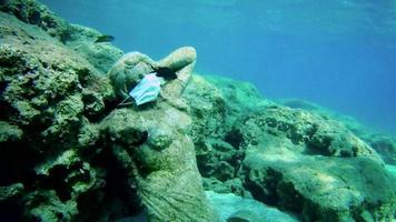 estátua em máscara de medicina no fundo do mar e vários peixes flutuando ao lado dela como um símbolo de proteção contra covid-19 em balneários. video