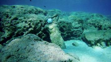 Statue in Medizinmaske auf dem Meeresgrund und mehrere daneben schwimmende Fische als Symbol für den Schutz vor Covid-19 in Badeorten. video