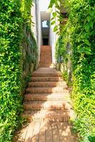 brick stair step in garden photo