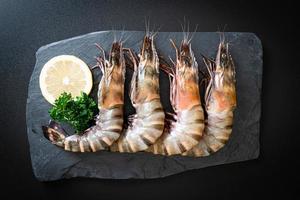 fresh tiger prawn or shrimp photo