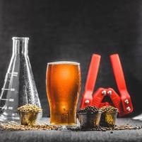 Homebrew Honey Brown Beer, Different Barley and Brewing Equipment photo