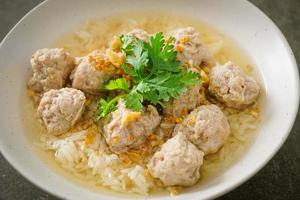 Boiled Rice with Pork Bowl photo