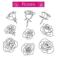 Rose flowers outline hand drawn line art set in minimalist monochrome linear style. For logo design, icons, decoration.