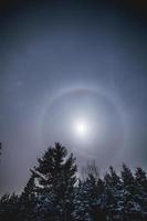 halo de luna en el bosque salvaje durante el invierno foto