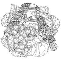 tucán, pájaro, y, flor, mano, dibujado, para, adulto, libro colorear vector