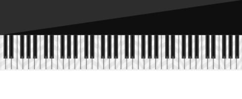 Realistic piano keyboard isolated on the white background. Vector illustration, top view