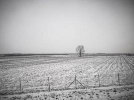 Plain land covered with snow in Vojvodina in Serbia photo