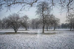 A park in Belgrade, near Usce, under the snow photo