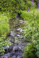 pequeño y hermoso río natural en el bosque de hemsedal, noruega. foto