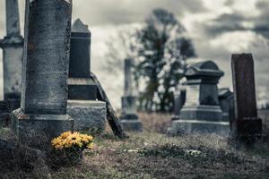 ramo de girasoles en un cementerio triste foto