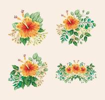 hawaiian flowers with leaves painting set vector design