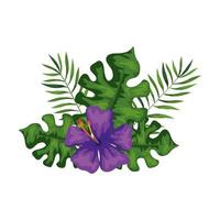 flower of purple color with branches and leafs vector