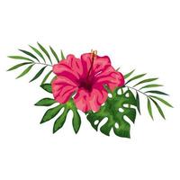 flower of pink color with branches and leafs vector