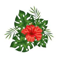 flower of red color with branches and leafs vector