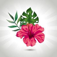 natural flower of pink color with branch and leafs tropical vector