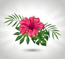 natural flower of pink color with branches and leafs tropical vector