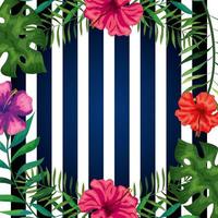 frame of flowers with branches and leafs in background stripes vector