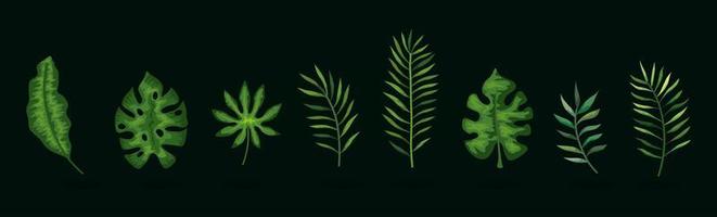 set of branches with leafs tropicals vector