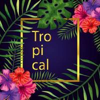 frame tropical with flowers and leafs vector