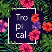 frame tropical with flowers and leafs vector