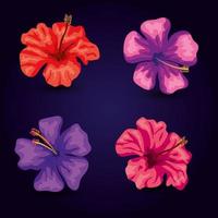 set of cute flowers isolated icon vector