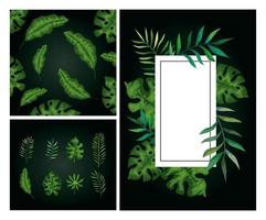 set of branches with branches and leafs tropicals vector