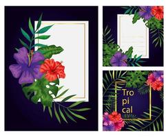 Conjunto de marcos con flores y hojas de la naturaleza. vector