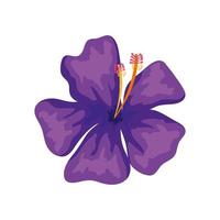 cute flower natural purple color isolated icon vector