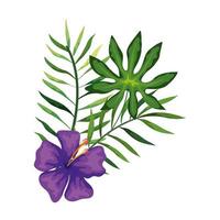 flower of purple color with branches and leafs vector