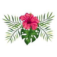 flower of pink color with branches and leafs vector