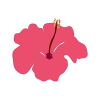 flower natural of pink color isolated icon vector