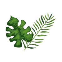 branch with leafs tropical nature isolated icon vector