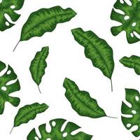 set of leafs tropical isolated icon vector