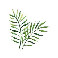 branches with leafs nature isolated icon vector