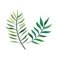 branches with leafs nature isolated icon vector