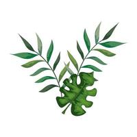 branches with leafs nature isolated icon vector