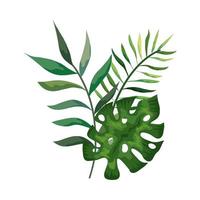 ramas con hojas naturaleza icono aislado vector