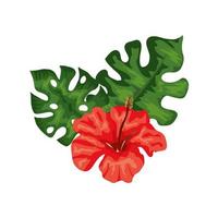 flor natural de color rojo con hojas tropicales vector