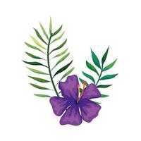 natural flower of purple color with branches and leafs vector