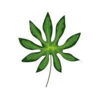 leaf nature tropical isolated icon vector